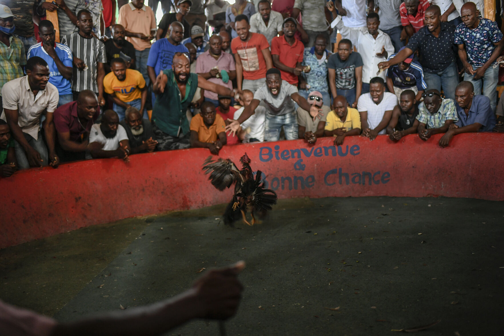 APTOPIX Haiti Cockfighting